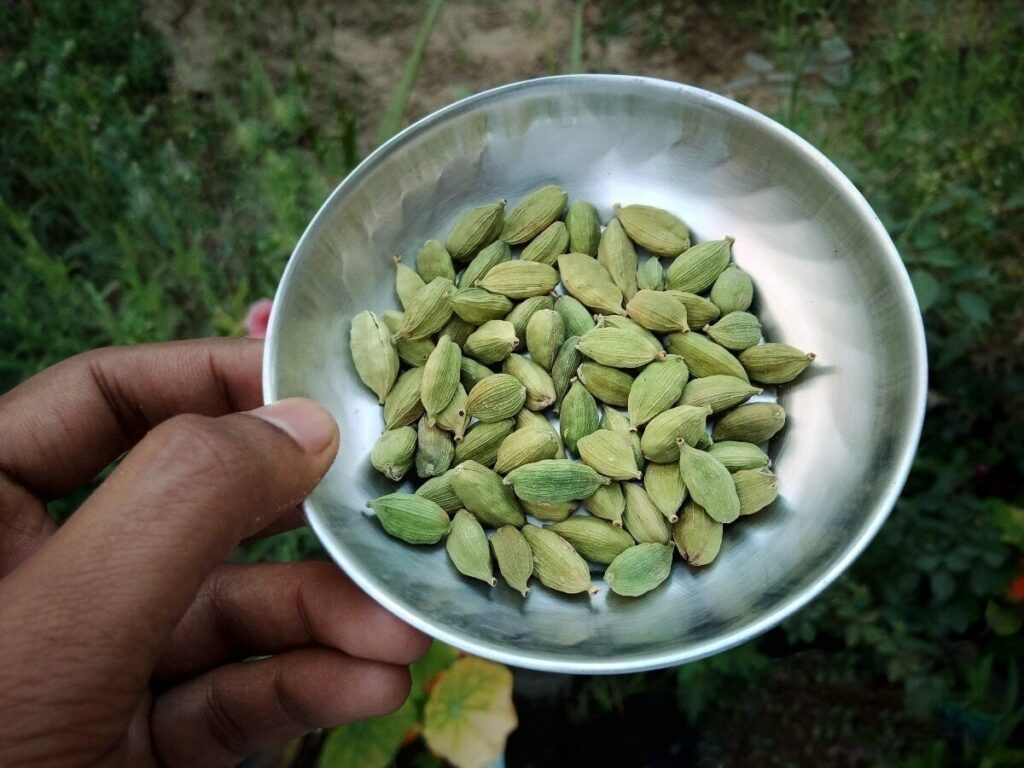Elaichi Benefits